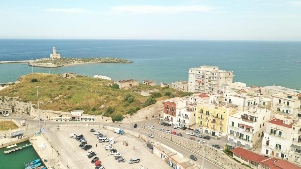 Tagliamento & Molo Apartment 维耶斯泰 外观 照片